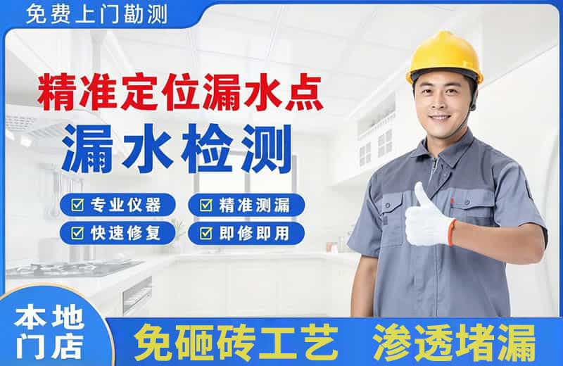 临川精准测漏点